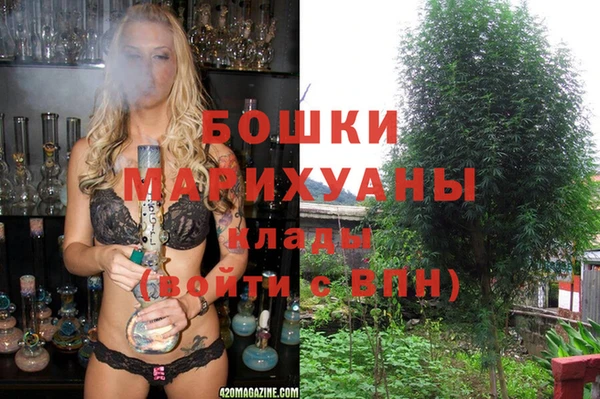 mix Пересвет