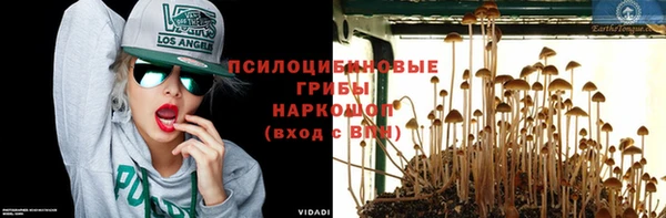 таблы Алзамай