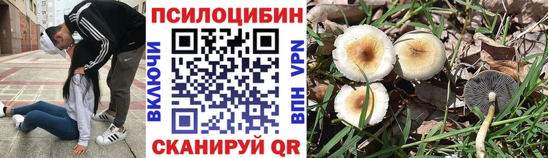 Псилоцибиновые грибы мухоморы  блэк спрут рабочий сайт  Нерехта 